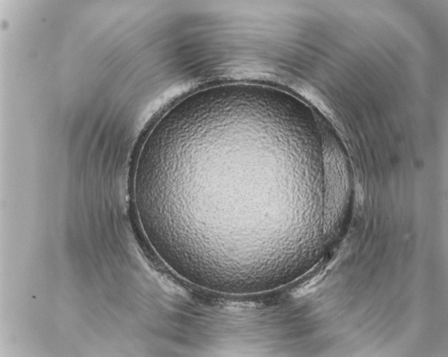 X0000087340438200705041809