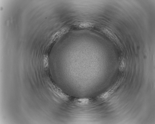 X0000087340478200705041810