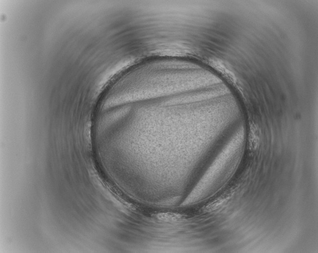 X0000087340535200705041807