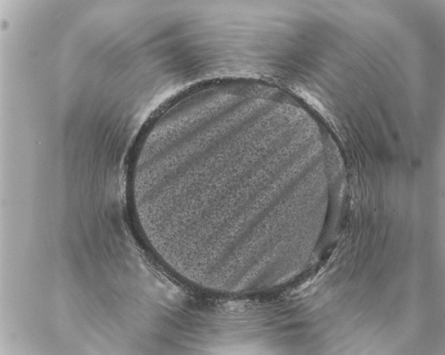 X0000087340584200705041807
