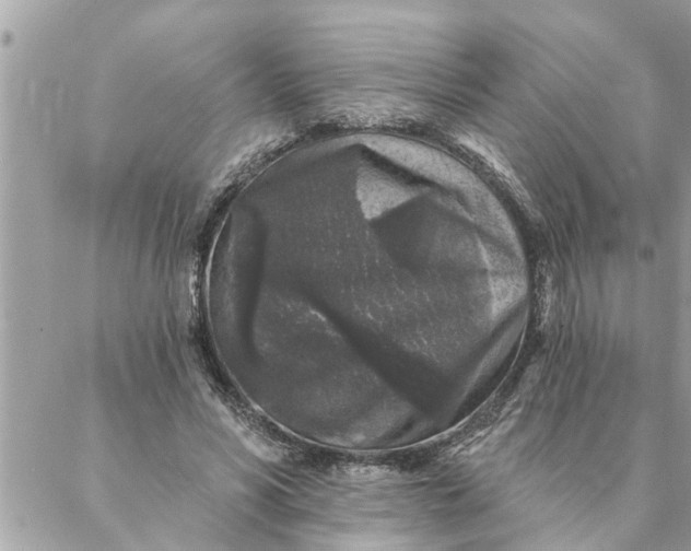 X0000087340590200705041807
