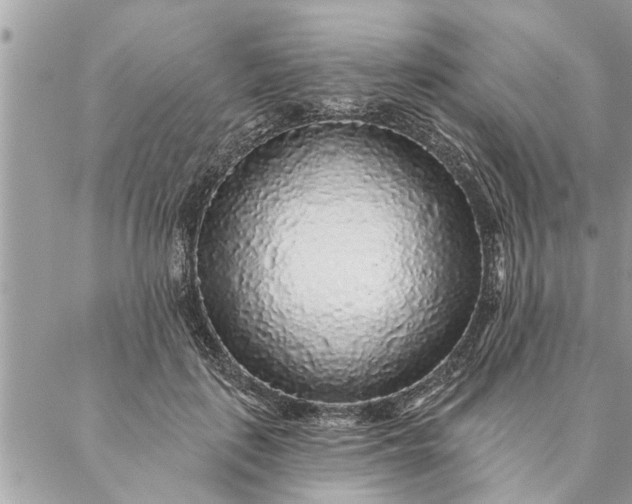 X0000087340651200705041806