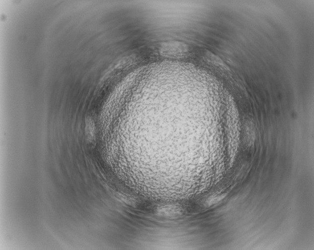 X0000087340705200705041805