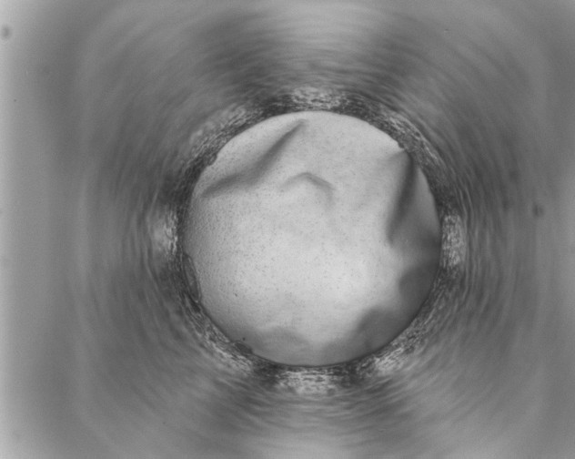 X0000087340713200705041805