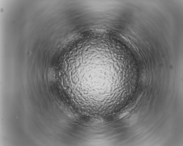 X0000087340715200705041805