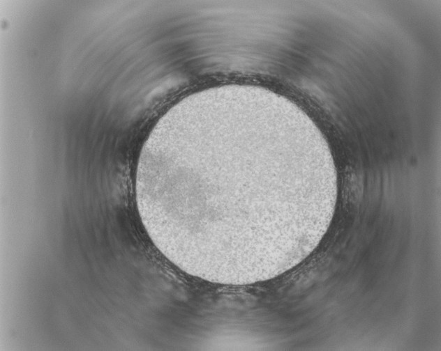 X0000087340918200705041801