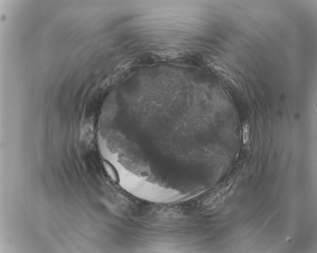 X0000087341011200705041759
