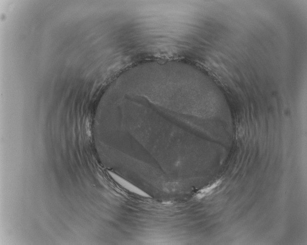 X0000087341106200705041758