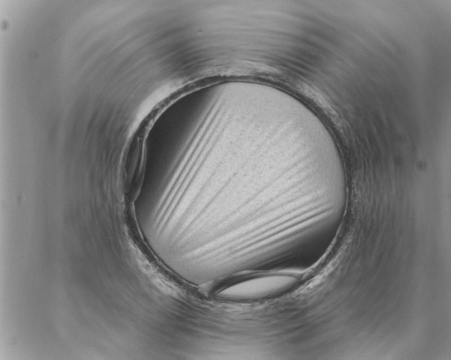 X0000087341122200705041758