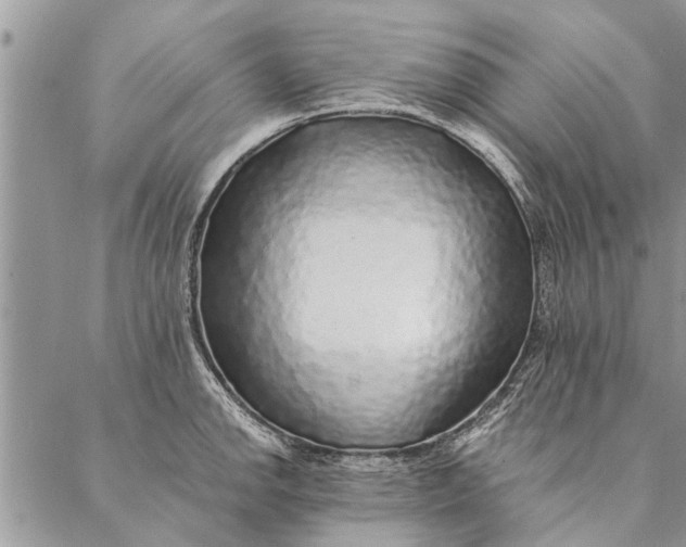 X0000087341142200705041758
