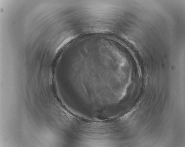 X0000087341306200705041755