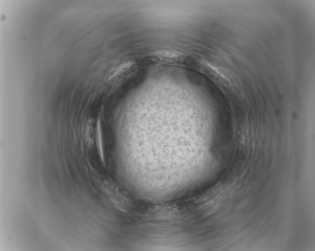 X0000087341346200705041755