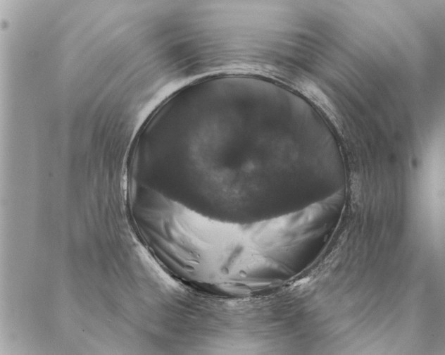 X0000087341428200705041754