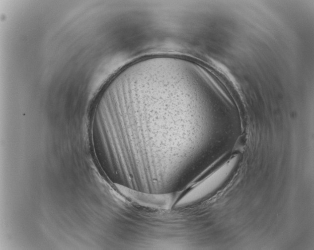 X0000087341464200705041753