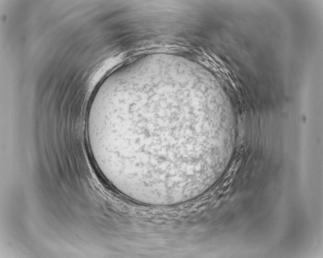 X0000087340003200705111559