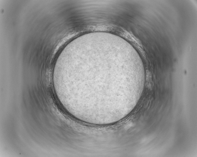 X0000087340012200705111559