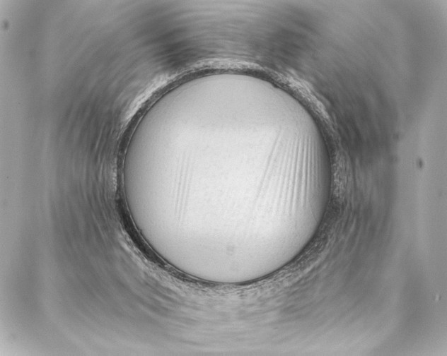 X0000087340015200705111559