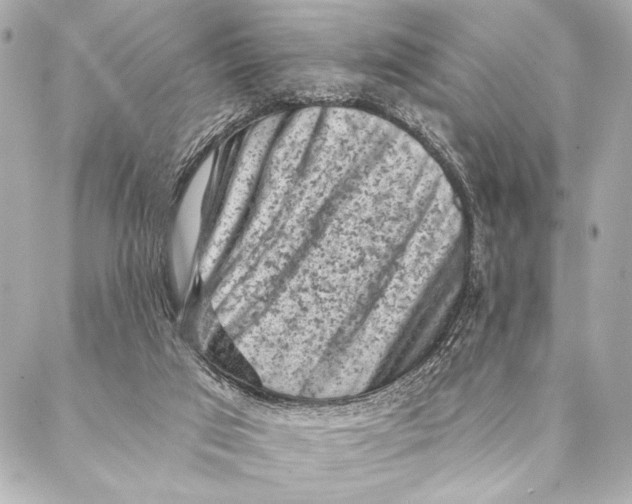 X0000087340017200705111559