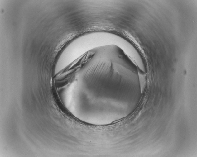 X0000087340019200705111559