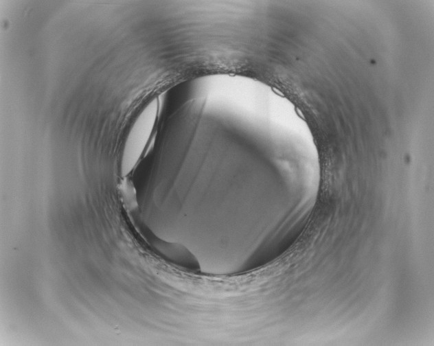 X0000087340027200705111559
