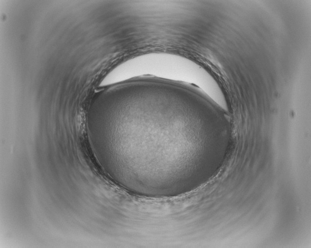 X0000087340029200705111559