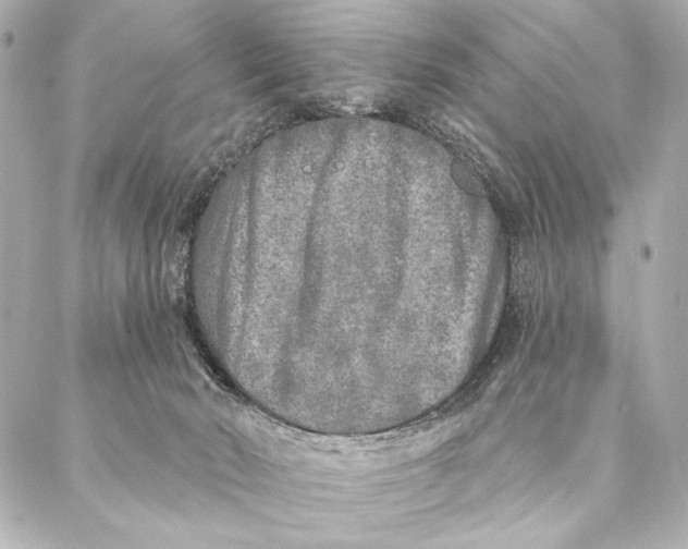 X0000087340030200705111559