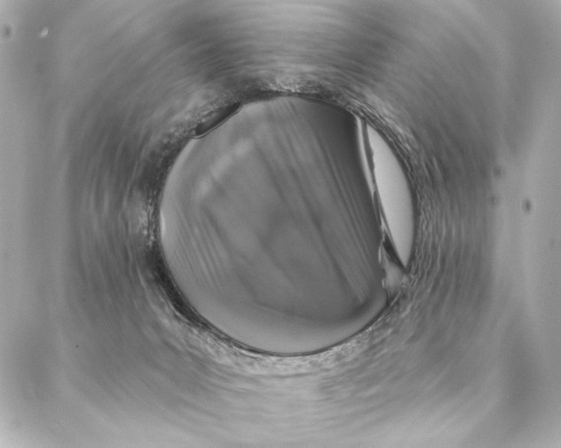 X0000087340031200705111559