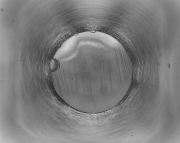 X0000087340035200705111559