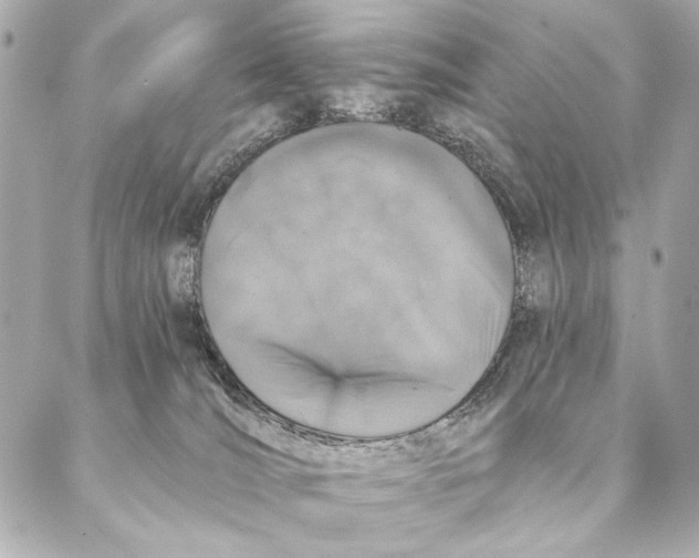 X0000087340036200705111559