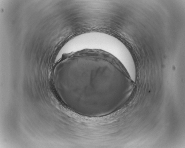 X0000087340039200705111559