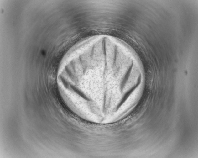 X0000087340040200705111559