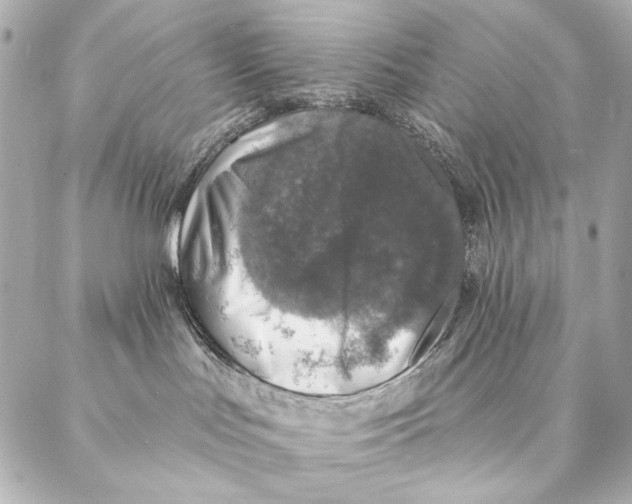 X0000087340047200705111559
