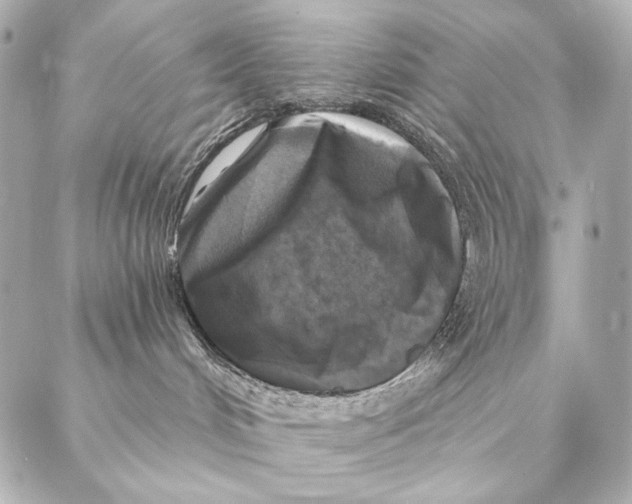 X0000087340048200705111559