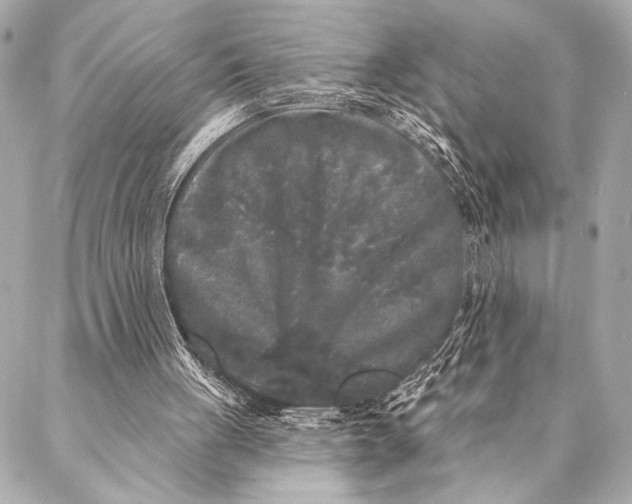 X0000087340051200705111558
