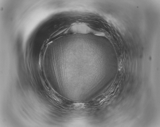 X0000087340052200705111558