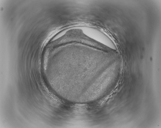 X0000087340055200705111558