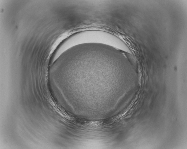X0000087340056200705111558