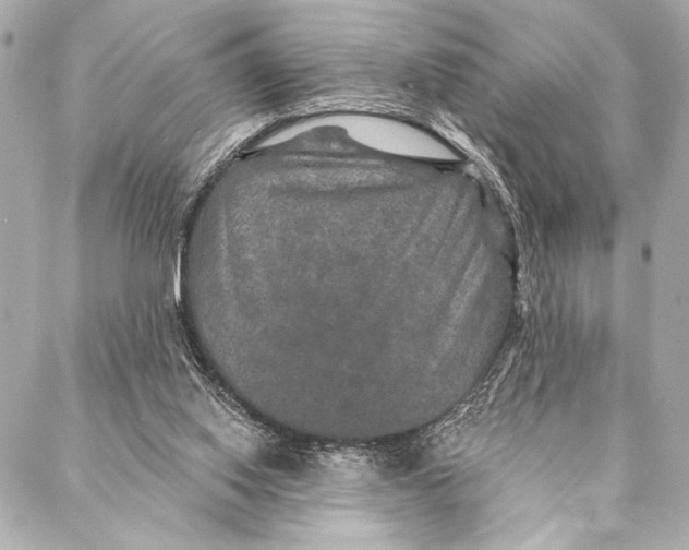X0000087340062200705111558