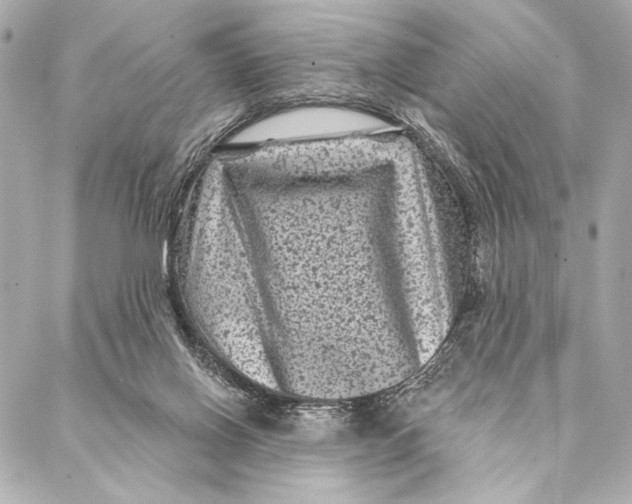 X0000087340070200705111558
