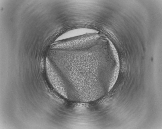 X0000087340077200705111558