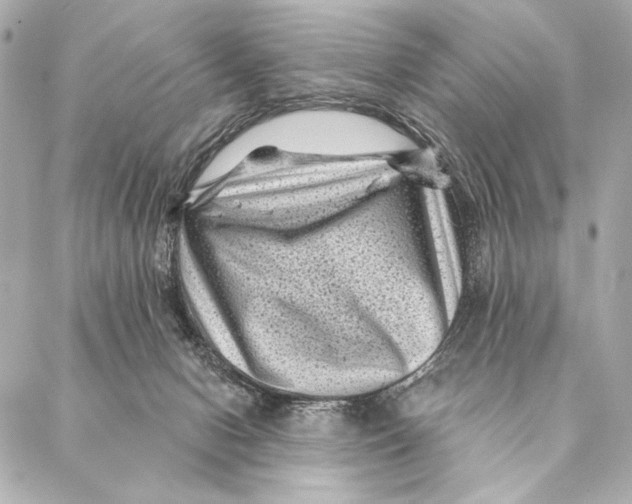 X0000087340078200705111558