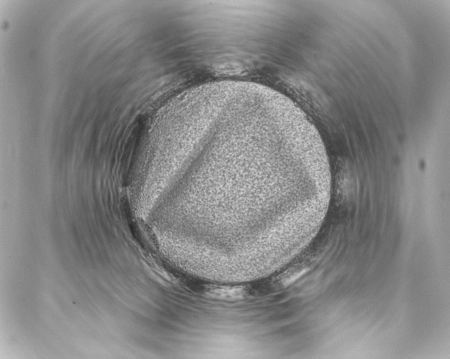 X0000087340081200705111558