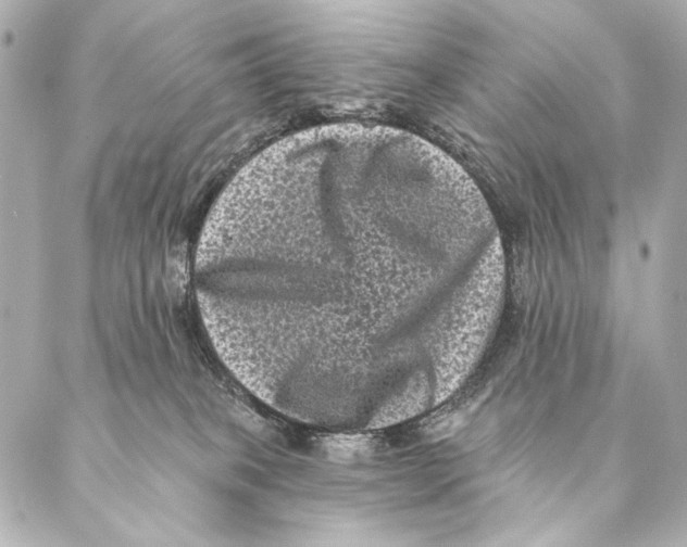 X0000087340085200705111558