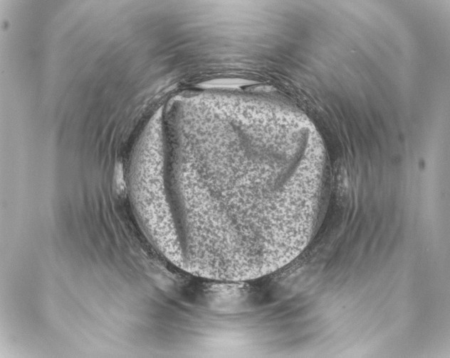 X0000087340089200705111558