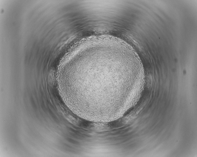 X0000087340093200705111558
