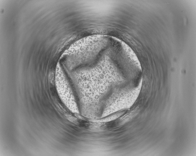 X0000087340096200705111559