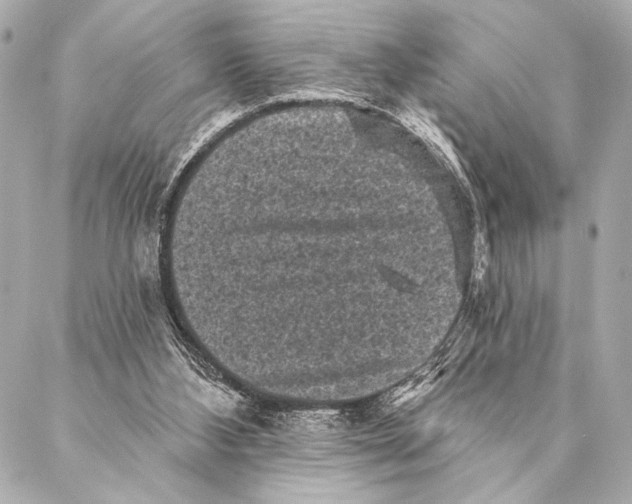 X0000087340108200705111558