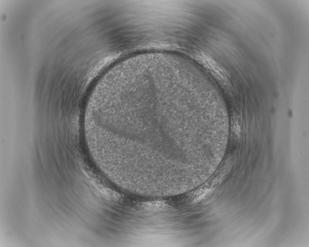 X0000087340112200705111558