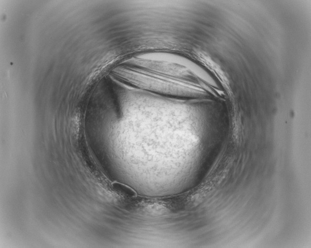 X0000087340113200705111557