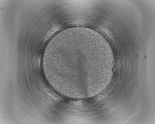 X0000087340120200705111557